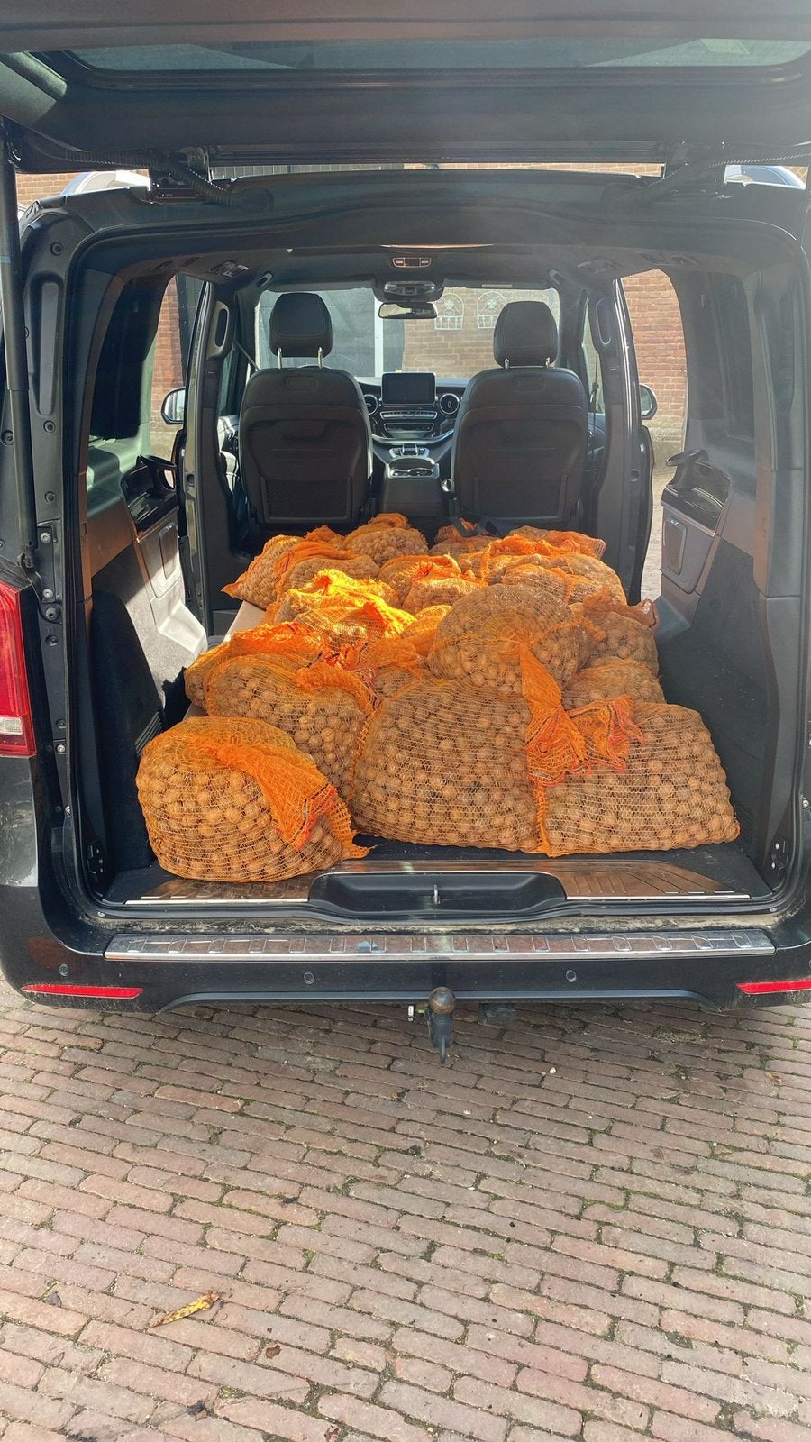 Hollandse walnoten verwachte oogst eind september, Auto-onderdelen, Ophalen, Nieuw