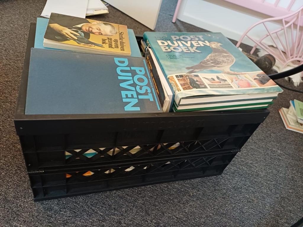 Verschillende Postduiven boeken!, Meerdere dieren, Postduif