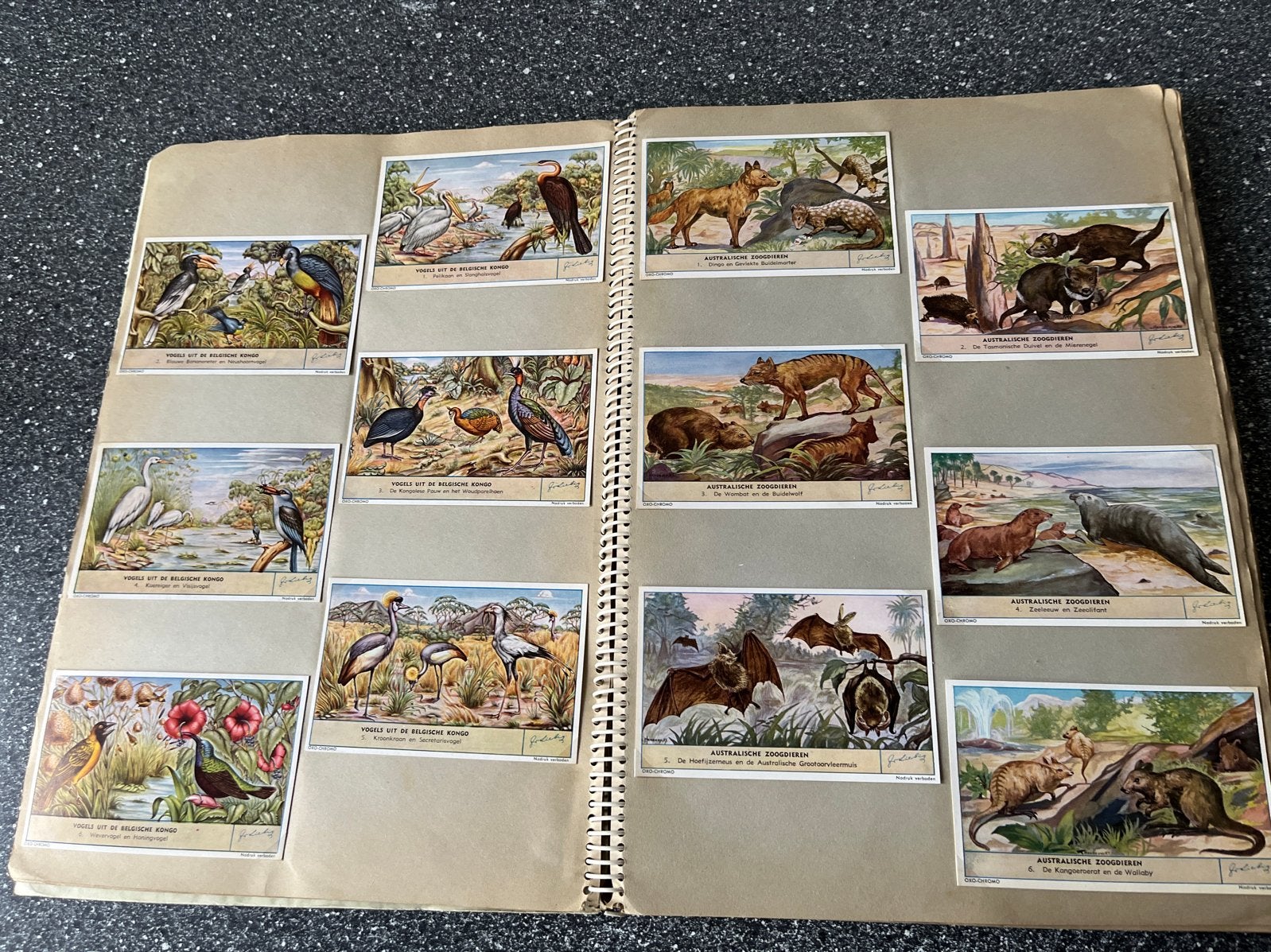 Vintage 1960 OXO/Liebig Plaatjes Album, Ophalen of Verzenden