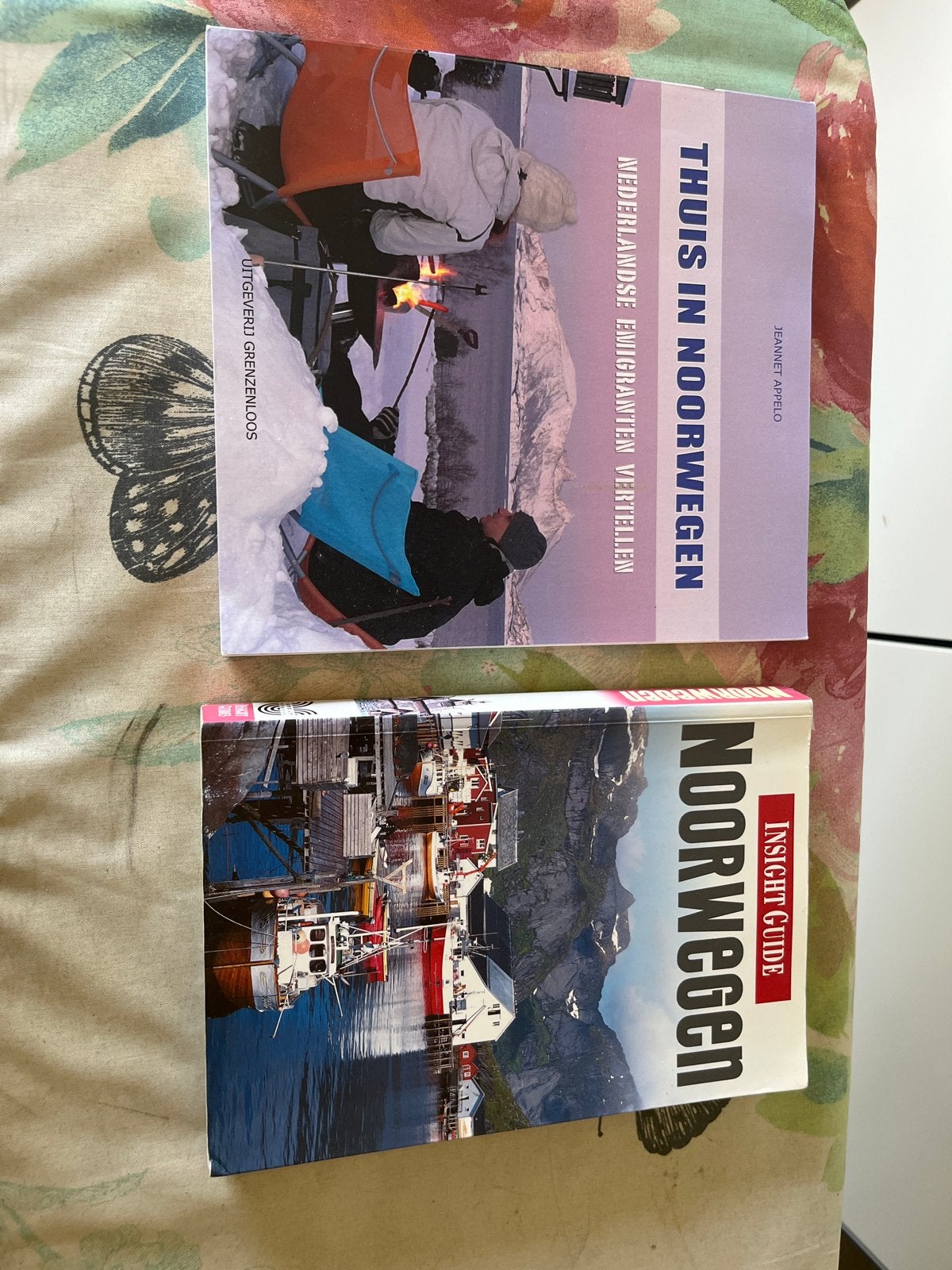 2 Reisgidsen Noorwegen: Thuis in Noorwegen & Insight Guide, Europa, Ophalen of Verzenden, Reisgids of -boek, Gelezen