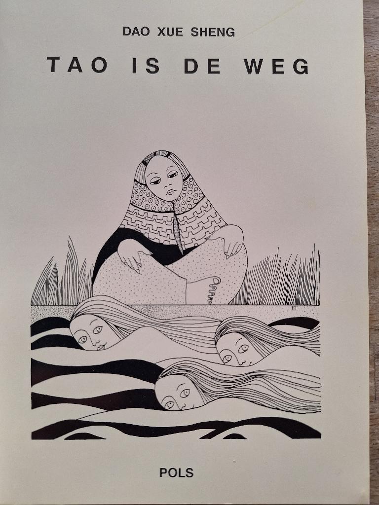 Tao is de weg, Ophalen of Verzenden, Zo goed als nieuw, Overige religies
