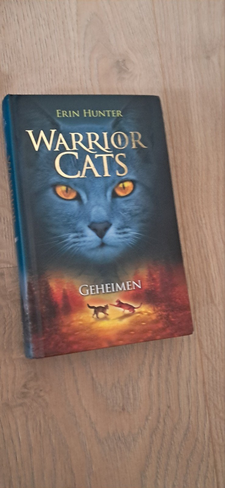 Warrior Cats deel 1, boek 3, Boeken, Ophalen of Verzenden, Zo goed als nieuw