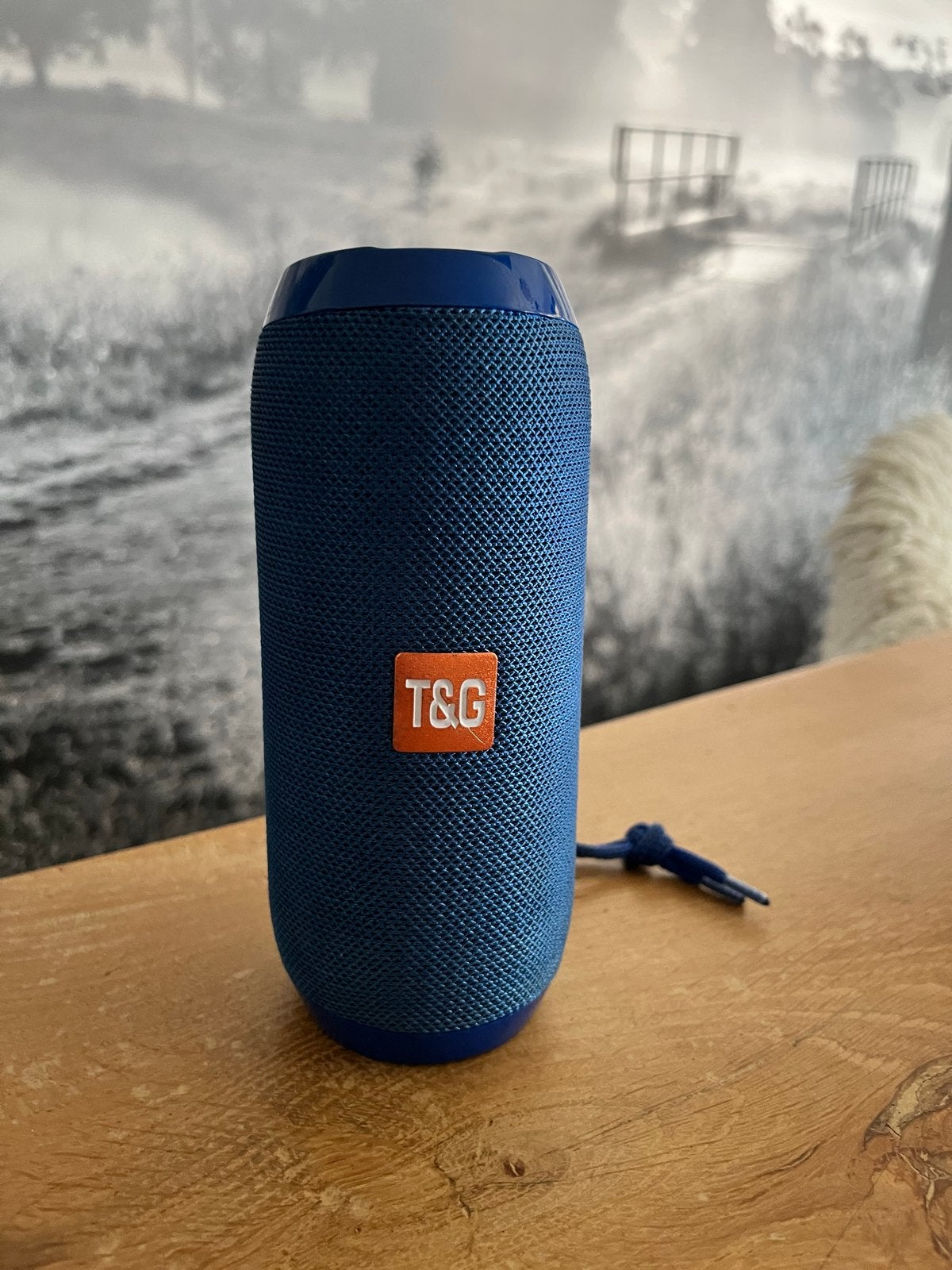 T&G Draagbare Bluetooth Speaker - Nieuwstaat, Audio, Tv en Foto, Luidsprekers, Overige merken, Nieuw, Ophalen of Verzenden, Draagbare speaker