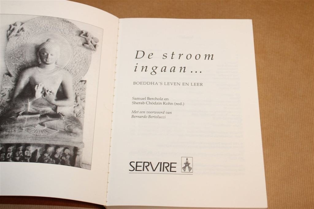 De Stroom Ingaan — Boeddha Leven & Leer 1993, Ophalen of Verzenden, Gelezen, Overige onderwerpen, Achtergrond en Informatie