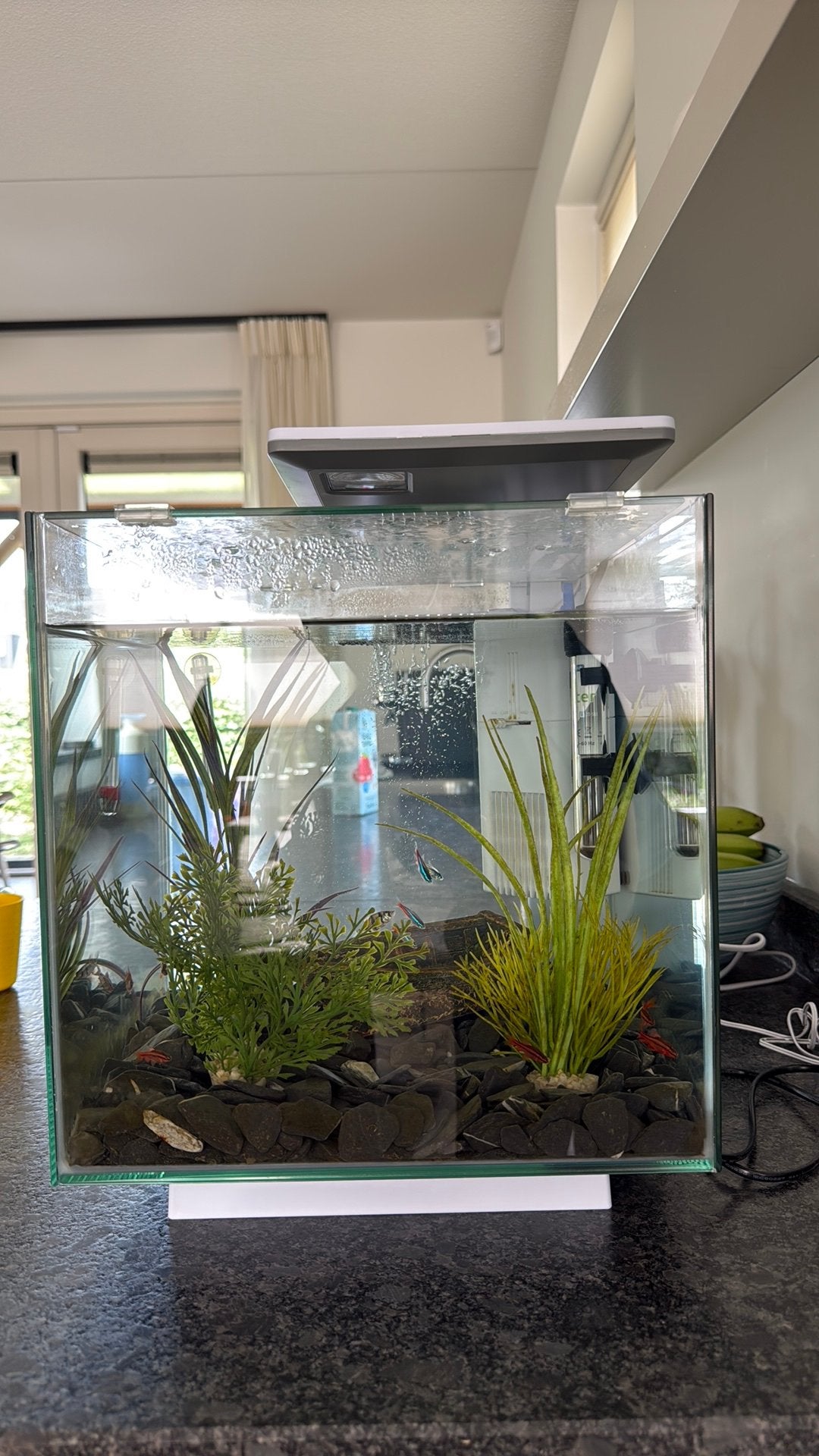 Superfish Qubiq 30 Pro 32x32x42.5 cm - Aquaria - Wit, Ophalen, Zo goed als nieuw, Gevuld zoetwateraquarium, Superfish