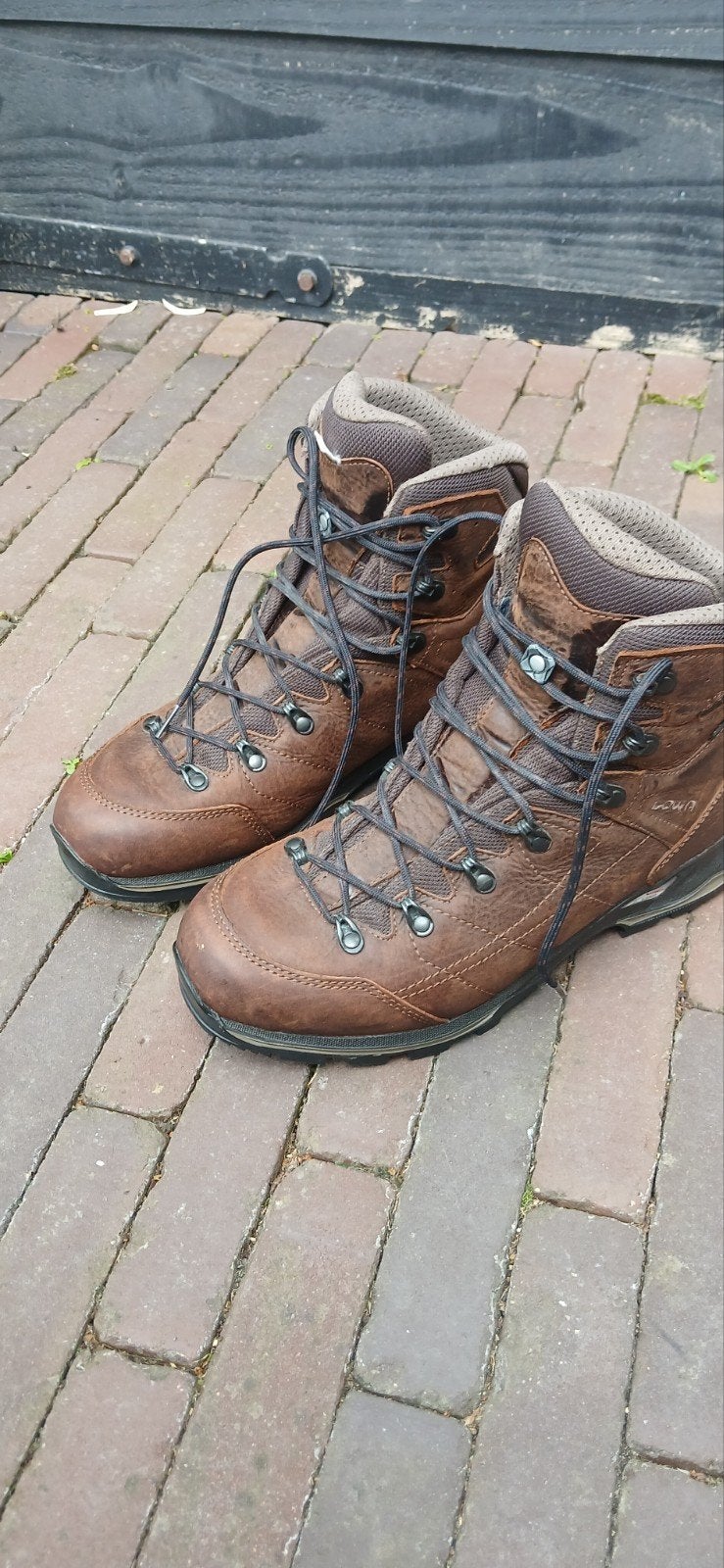Lowa hampton gtx mid in de maat 43.5. nieuw, Ophalen of Verzenden, Zo goed als nieuw, Schoenen