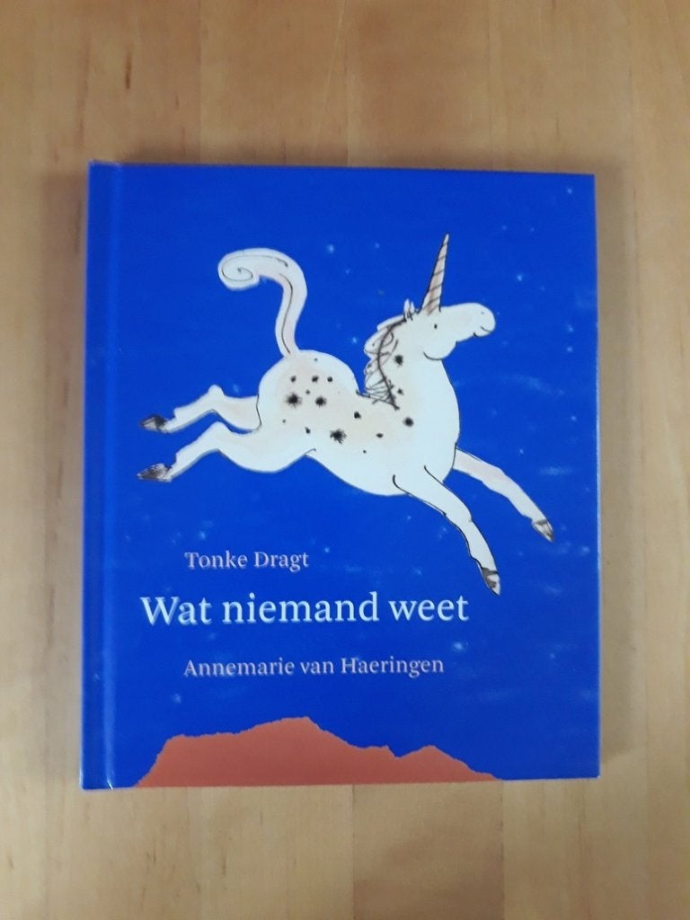 WAT  NIEMAND  WEET  van  Tonke Dragt, Ophalen of Verzenden, Gelezen, Fictie algemeen