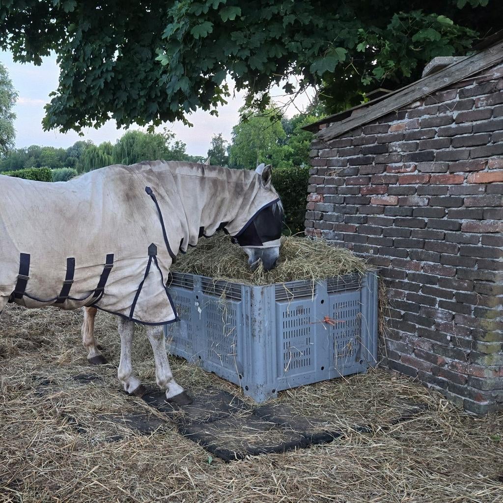 Grote hooibak incl net, Ophalen, Overige soorten