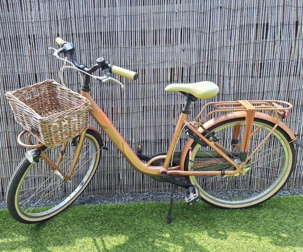 Batavus fiets 24 inch, Ophalen, Terugtraprem, Versnellingen, Batavus