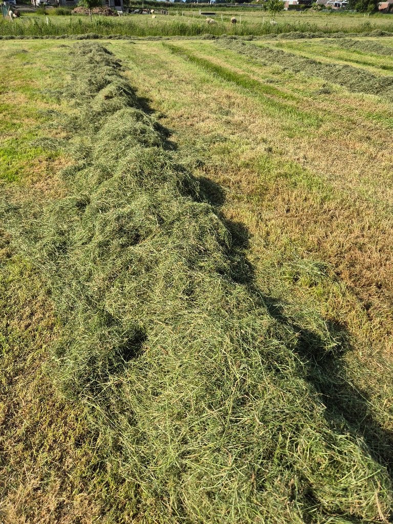 Kuilvoer, Dieren en Toebehoren, Ophalen of Verzenden, Vee