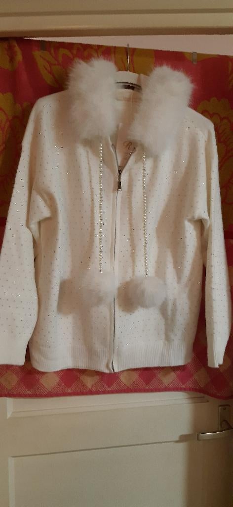 Nieuw wit vestje met strass glitter eskimo 42 44, Kleding | Dames, Truien en Vesten, Nieuw, Maat 42/44 (L), Wit, Ophalen of Verzenden