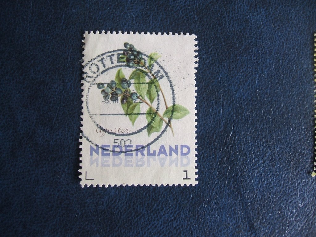 Nederland bloem, Ophalen of Verzenden, Na 1940, Gestempeld