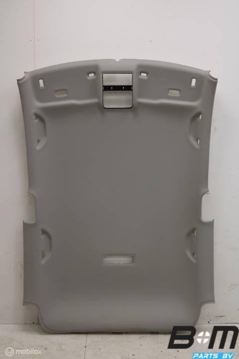 Hemel VW Polo 6C 3drs 6C3867501G, Gebruikt