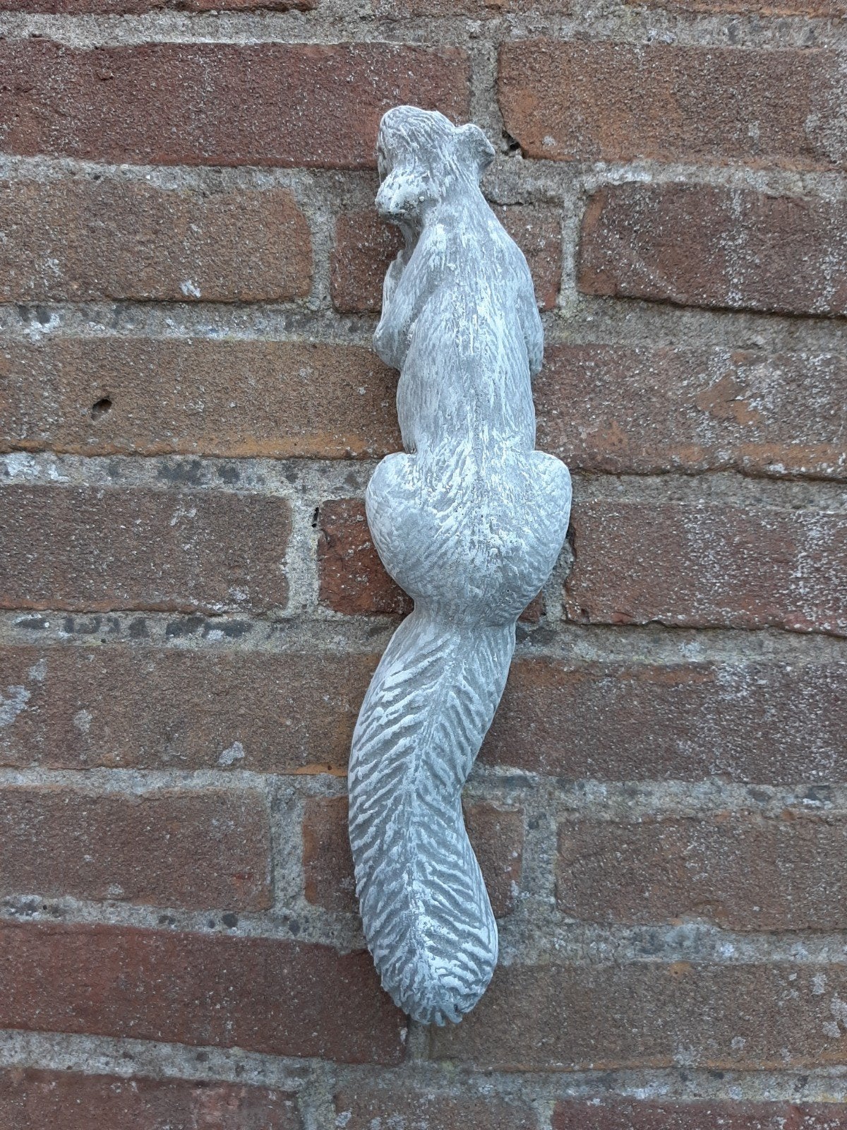 Eekhoorn wanddecoratie betonnen beeld tuinbeeld beton, Ophalen of Verzenden