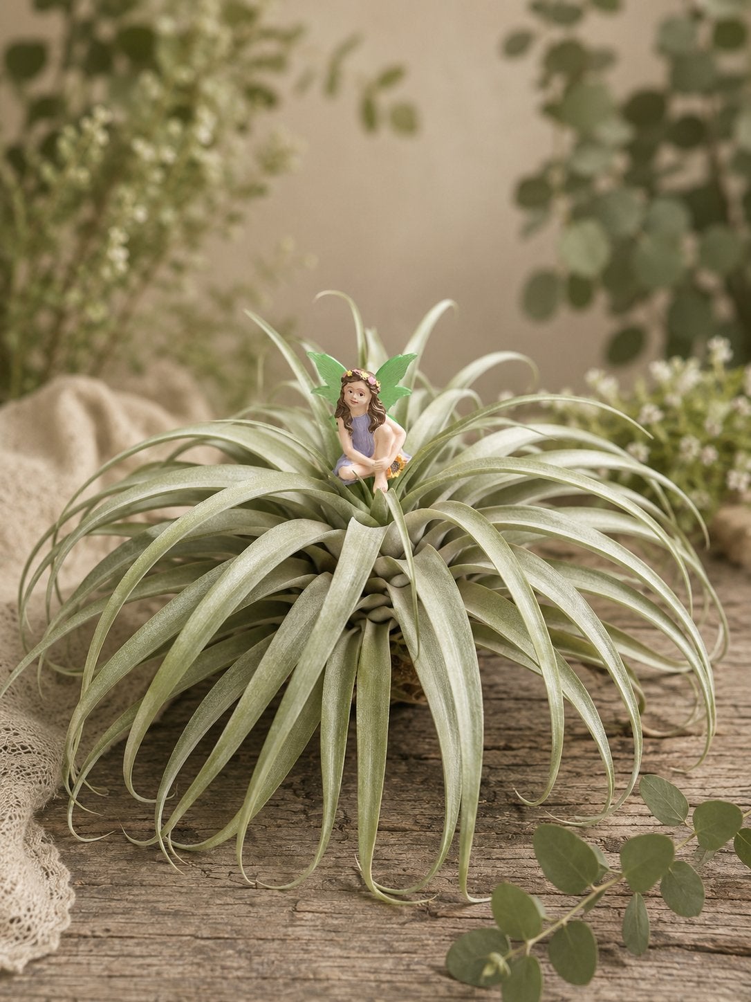 Grote Tillandsia Capitata Peach, Ophalen of Verzenden, Halfschaduw, Minder dan 100 cm