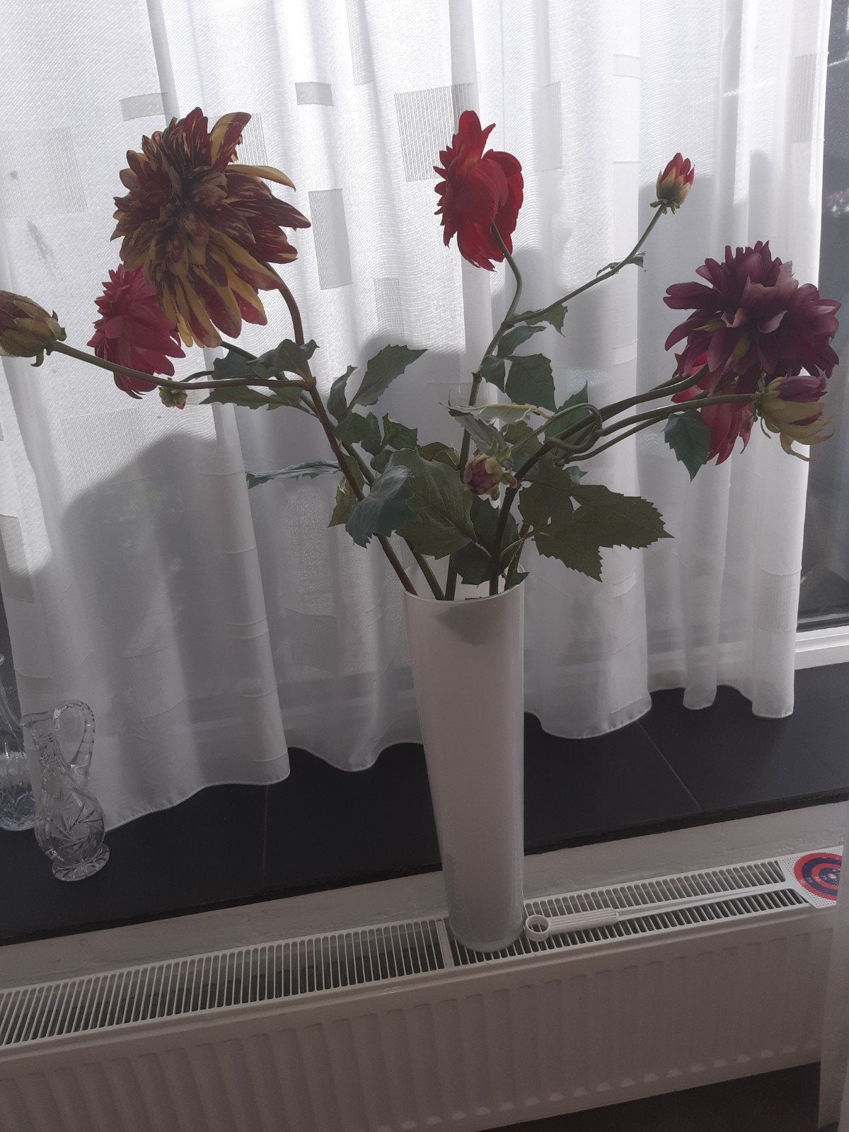 Dahlia takken met glazen vaas, Ophalen, Zo goed als nieuw