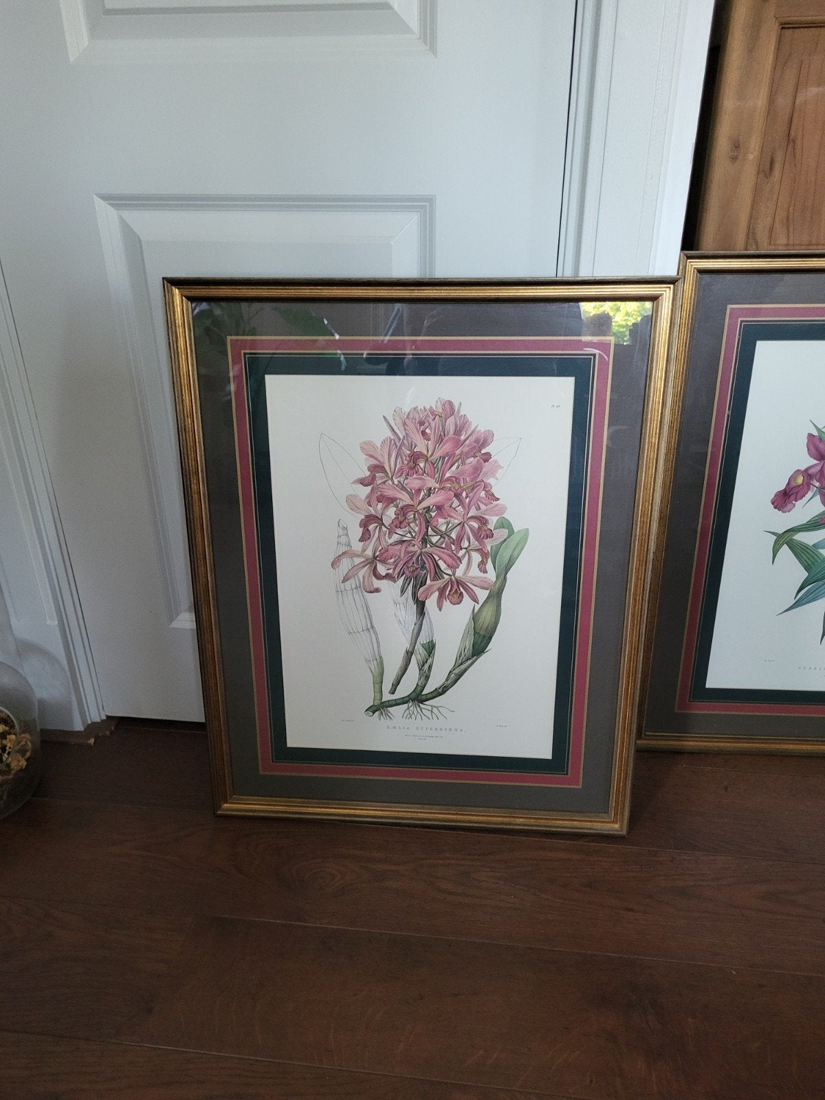 Set van 2 ingelijste botanische prints - Orchideeën, Ophalen of Verzenden