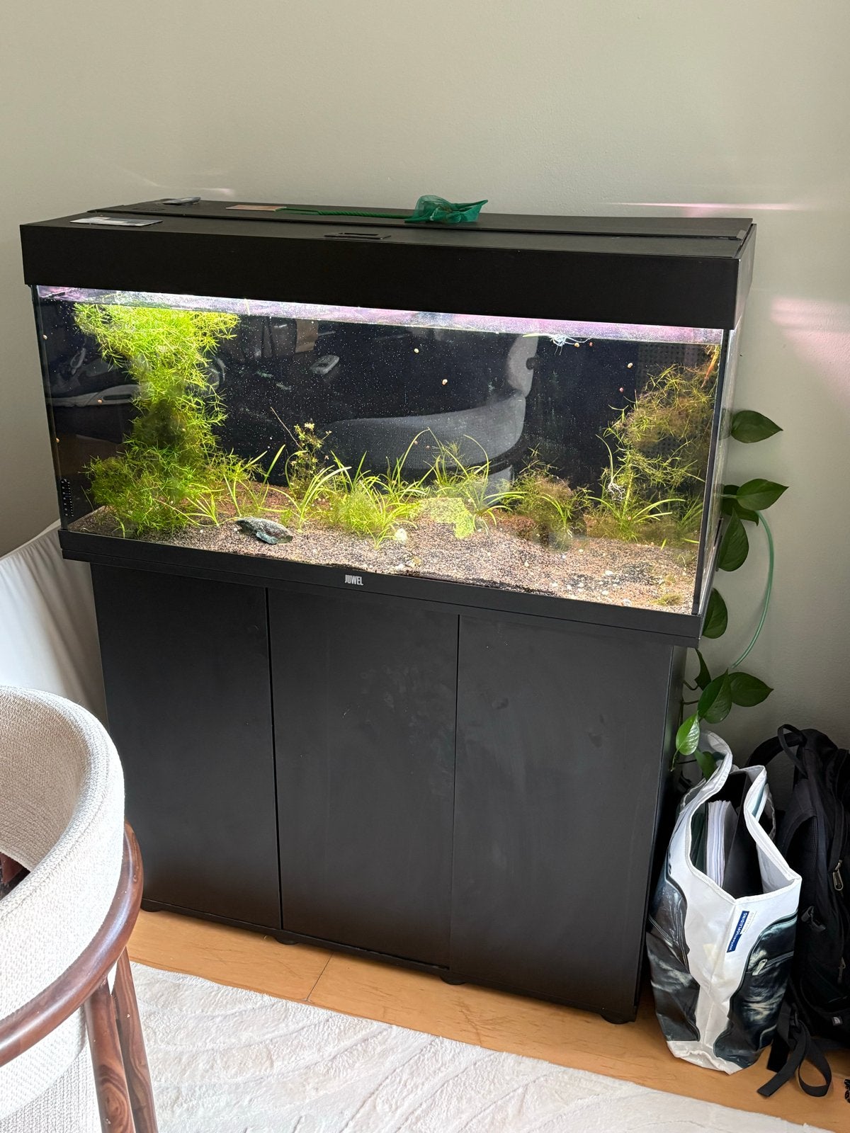 Compleet Juwel Rio aquarium 180-200 liter, Dieren en Toebehoren, Vissen | Aquaria en Toebehoren, Ophalen, Zo goed als nieuw, Leeg aquarium
