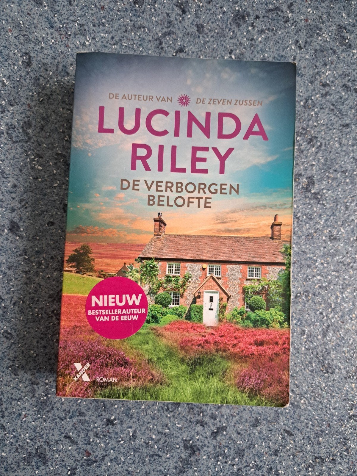 Lucinda Riley - De Verborgen Belofte, Boeken, Romans, Ophalen, Gelezen, Lucinda Riley
