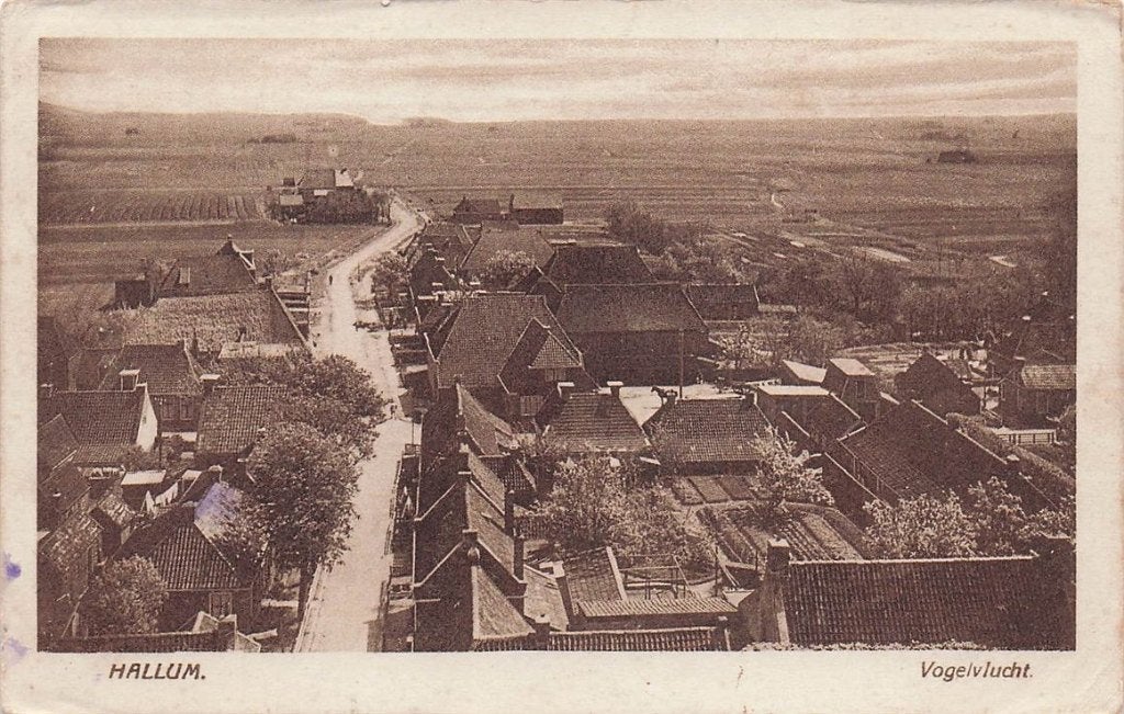 703-035-029 Hallum Vogelvlucht, Verzamelen, Ansichtkaarten | Nederland, Verzenden, Voor 1920, Friesland