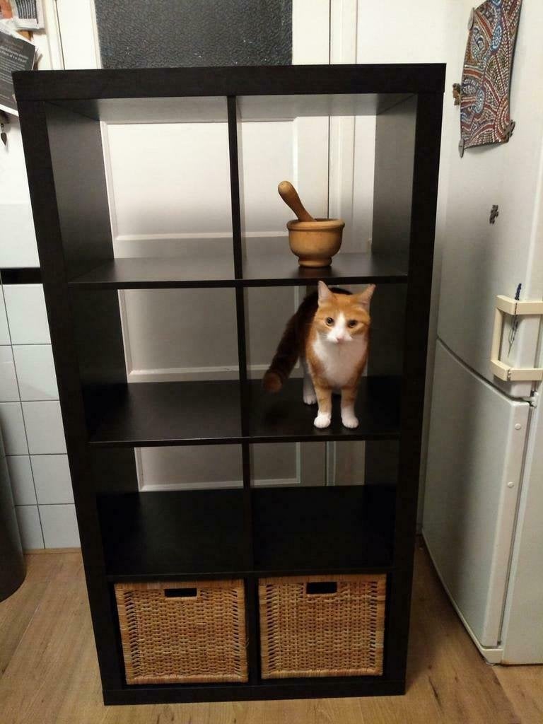 8 vakken zwarte Expedit (Kallax) kast, bezorgen is mogelijk!, Ophalen, Met plank(en), Gebruikt, 100 tot 150 cm