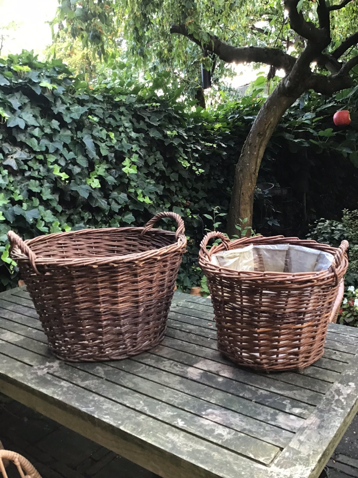 Wilgentenen manden met ingevlochten handvatten, twee stuks, Ophalen, Zo goed als nieuw, Ongediertebestrijding