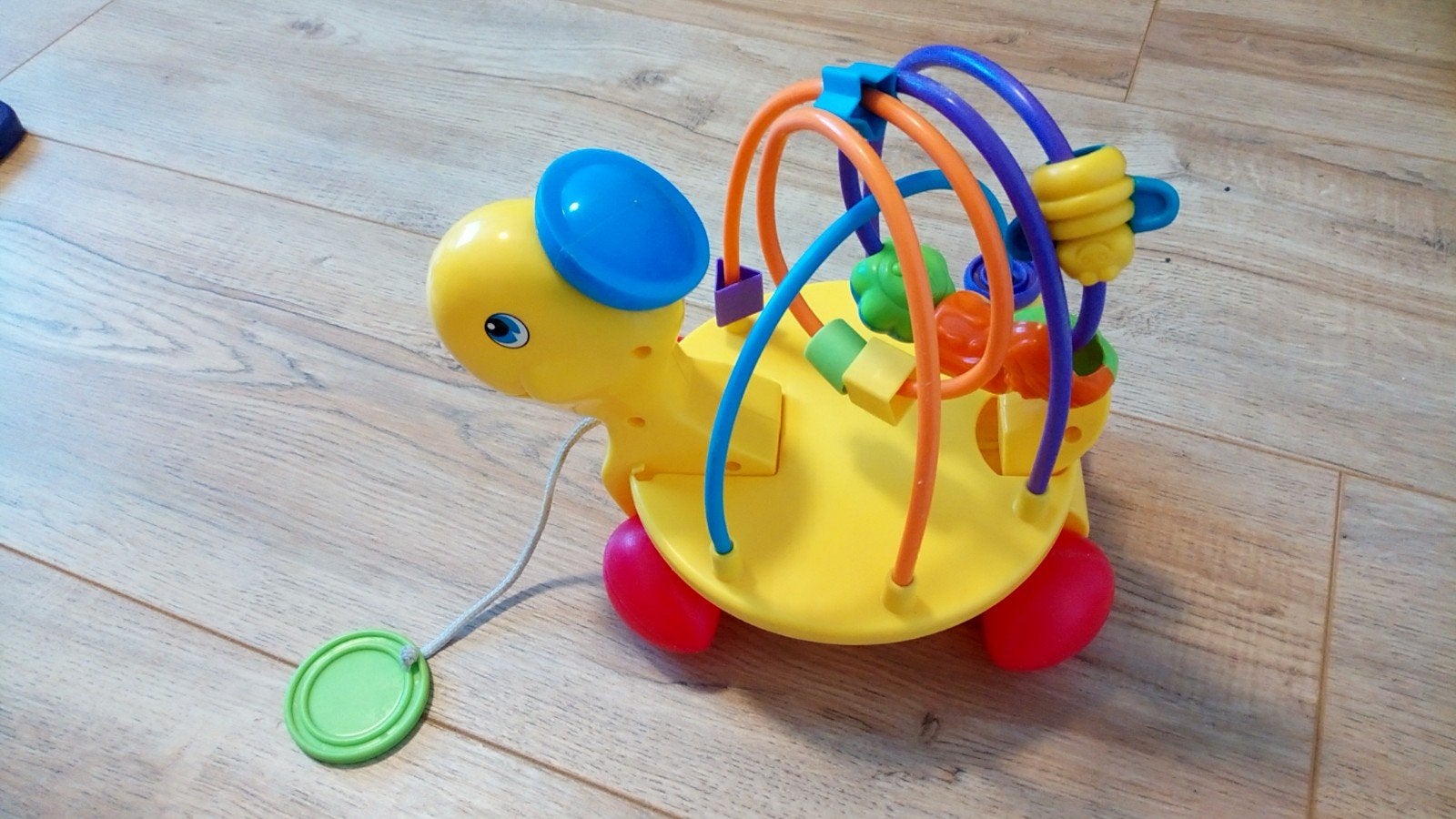 Kleurrijke schildpad, Ophalen of Verzenden, Overige typen
