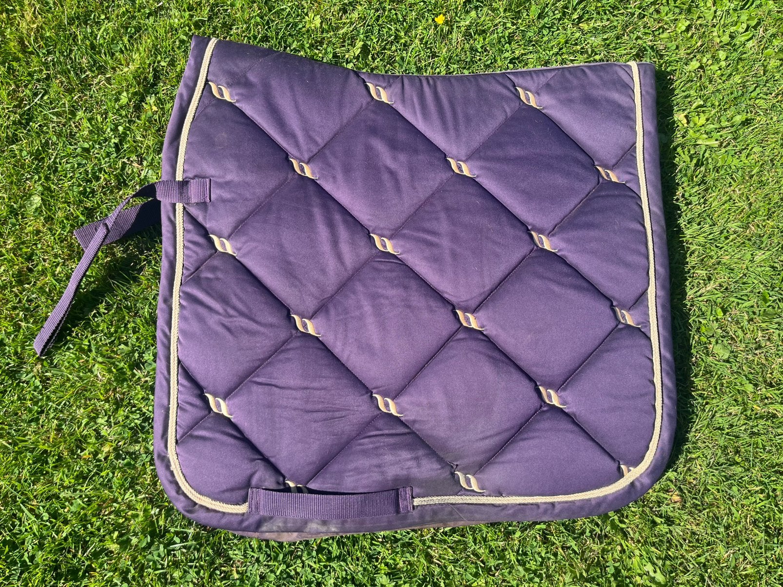 Back on track therapy dekje full dressuur, Dieren en Toebehoren, Ophalen of Verzenden, Gebruikt, Dressuurdekje