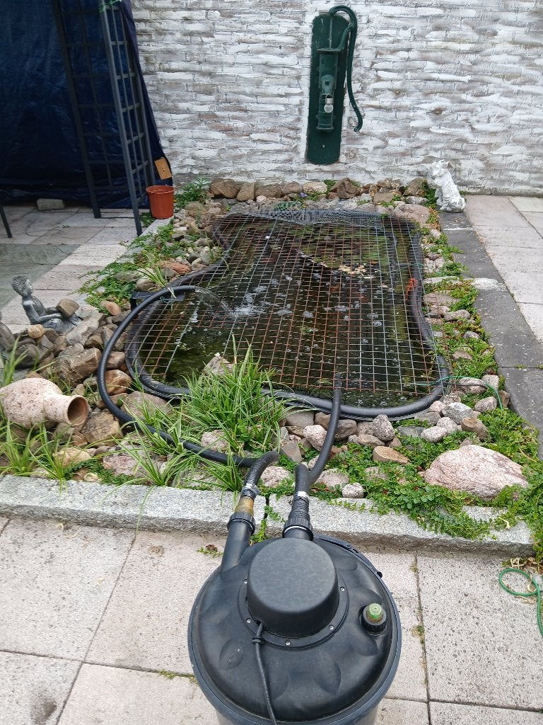 vaste bak met vissen, Dieren en Toebehoren, Ophalen of Verzenden, Gebruikt, Gevuld zoetwateraquarium