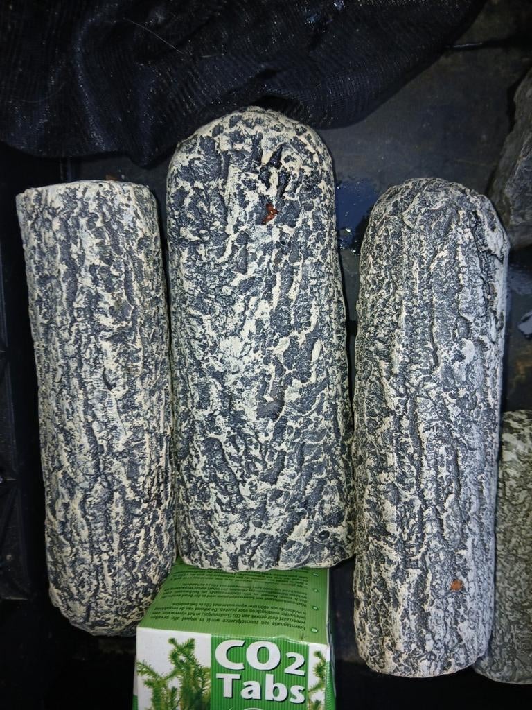 3 leg hollen voor algeneters of aquarium bewoners, Dieren en Toebehoren, Ophalen