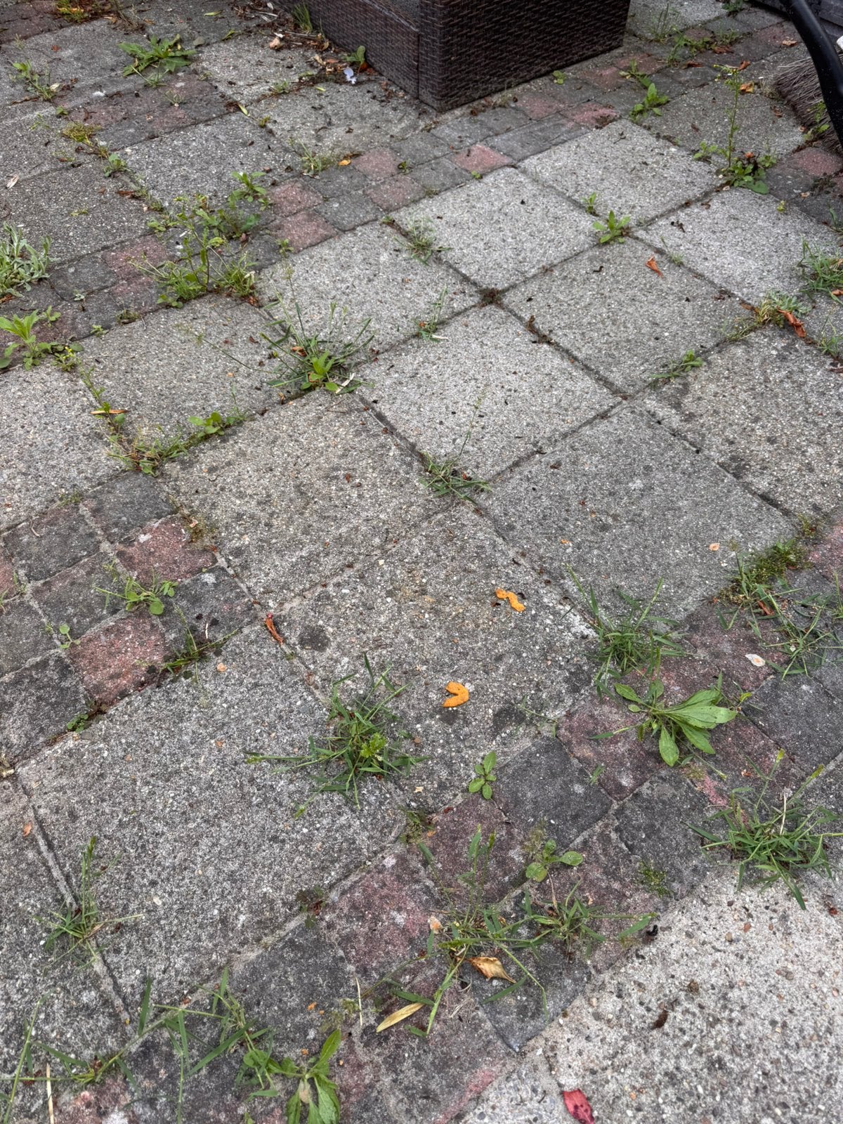 Tuin Tegels 35m2 gratis ophalen, Ophalen, Gebruikt, Beton, Terrastegels