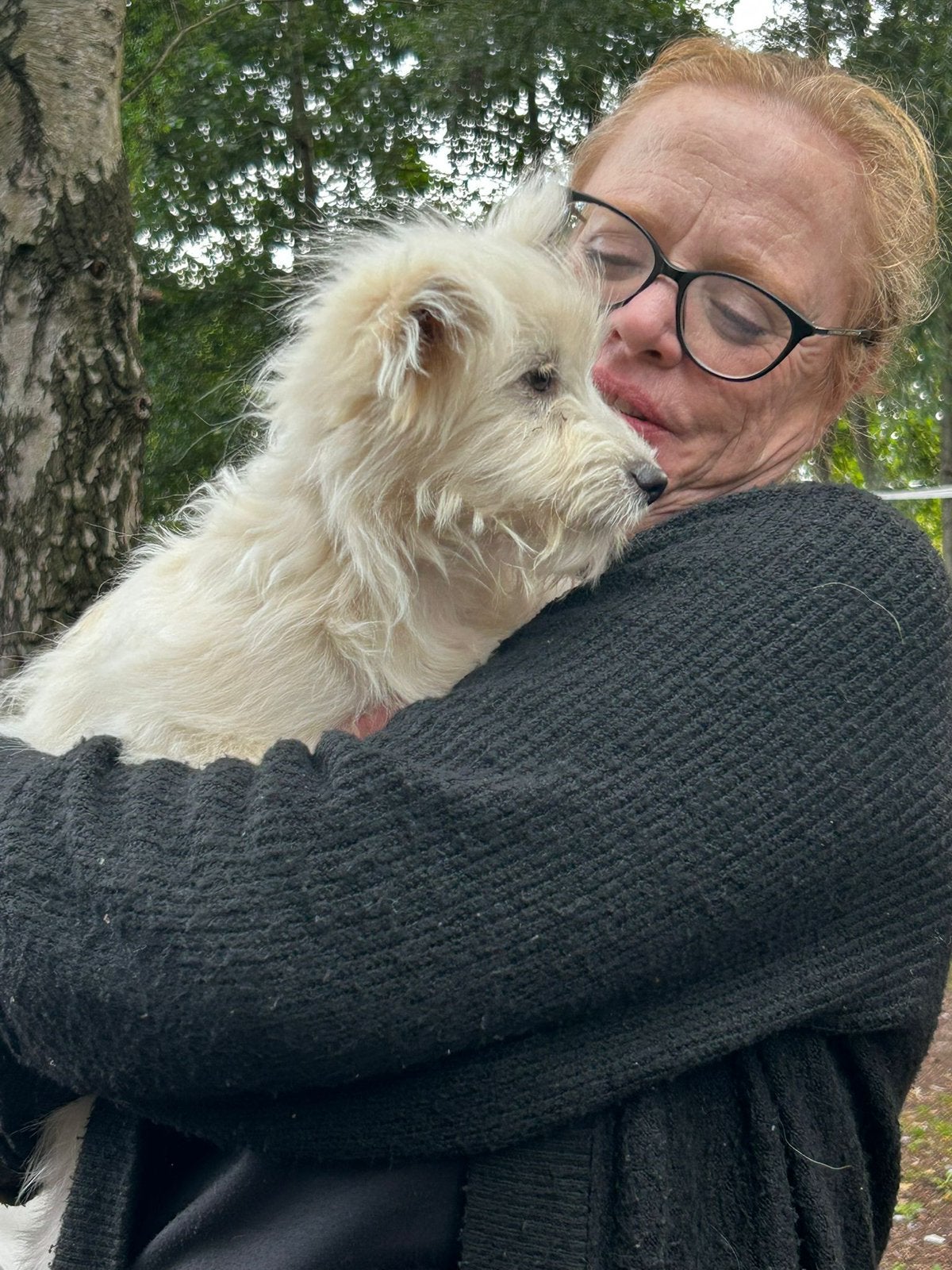 6 (nog 1!)Prachtige Boomer x Pomeriaantje meiden en jongens, Parvo, Nederland, Overige rassen, 8 tot 15 weken