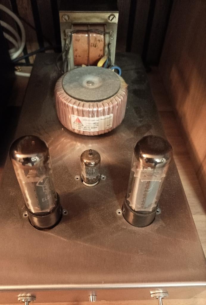 High end  buizen VV en mono blokken klare, Gebruikt, 120 watt of meer, Front, Rear of Stereo speakers, Ophalen
