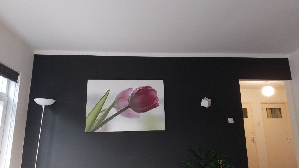 Wanddecoratie - tulip, Ophalen, 100 tot 125 cm, 75 – 100, Print