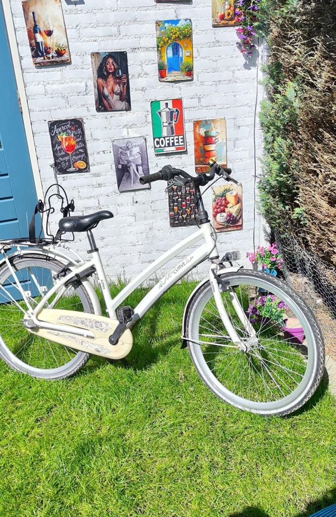 alpina Curve fiets met lage instap voor meisjes/dames, Overige merken, Terugtraprem, Gebruikt, Versnellingen