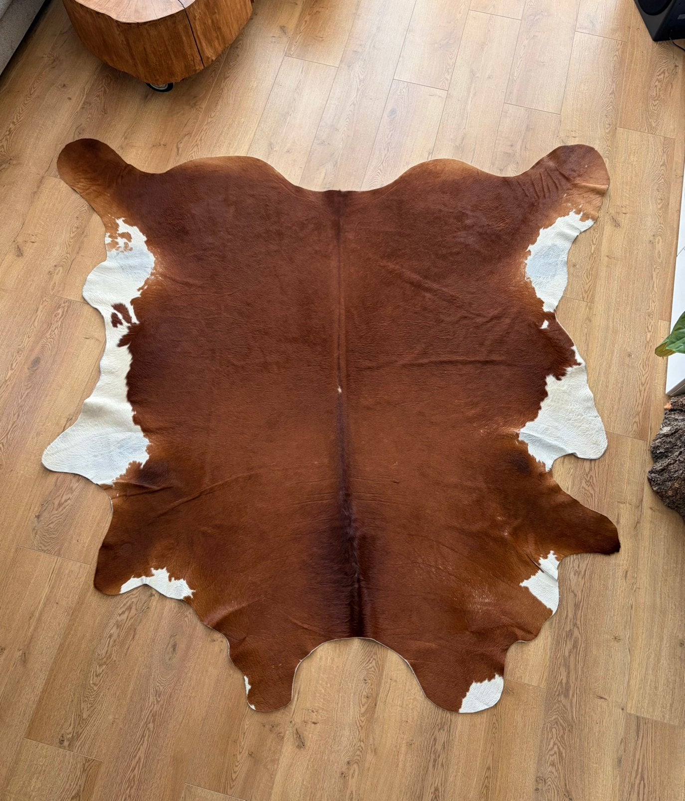 Prachtige koeienhuid, Ophalen of Verzenden, Zo goed als nieuw, Bruin, 200 cm of meer