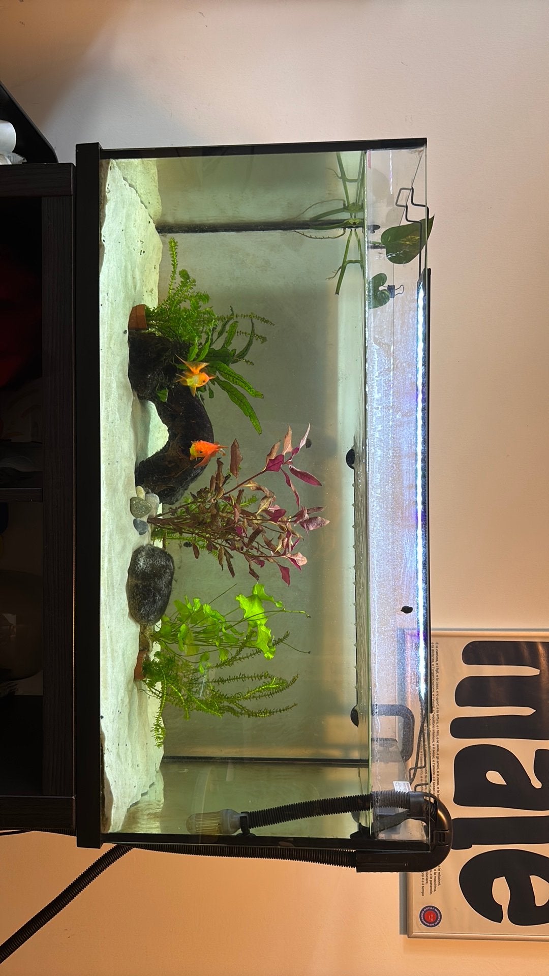 Tank for sale, Ophalen of Verzenden, Zo goed als nieuw, Leeg aquarium