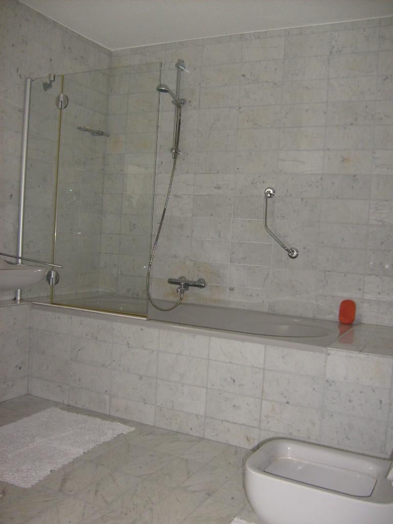Douchescherm, Ophalen, Gebruikt, Rvs, Douche