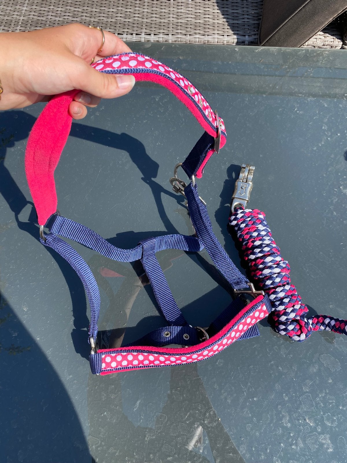 Waldhousen halsterset polkadot, maat pony nieuw, Ophalen of Verzenden, Zo goed als nieuw, Blauw, Pony