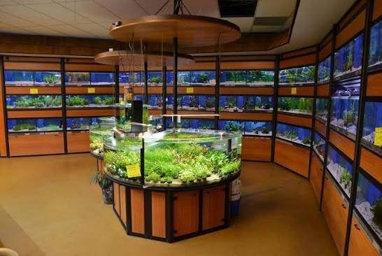 Aquarium Juwel stellingen 5 stellingen + 1 keuken, Dieren en Toebehoren, Vissen | Aquaria en Toebehoren, Ophalen of Verzenden
