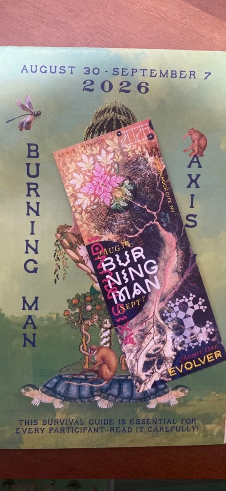 1 Burning Man ticket, Tickets en Kaartjes, Concerten | House, Techno en Trance, Eén persoon