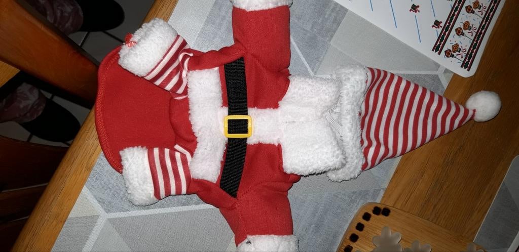kerst pakje voor hond, Ophalen