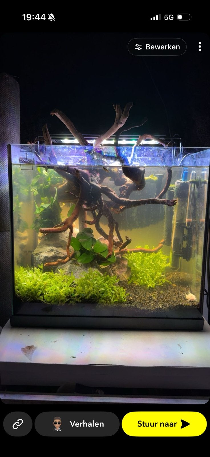 Aquarium, Ophalen of Verzenden, Leeg aquarium
