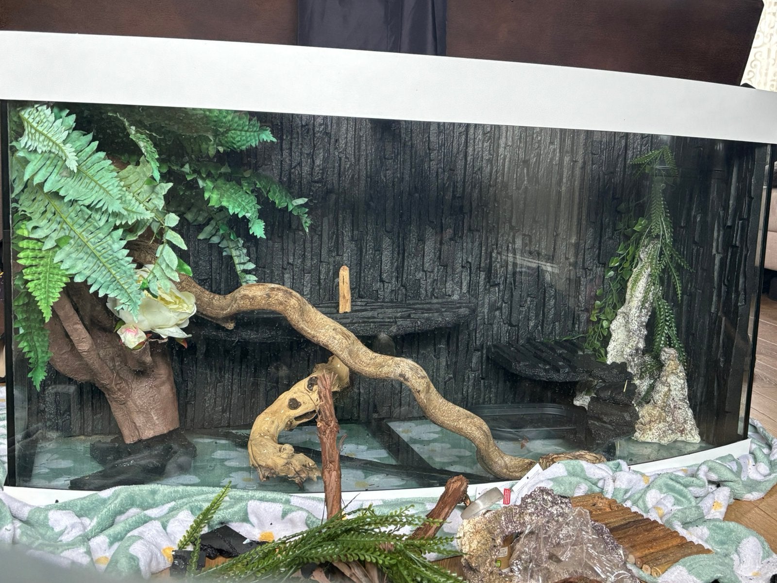 2 leopaard gekko’s + terrarium, Overige soorten, Met terrarium, 0 tot 2 jaar