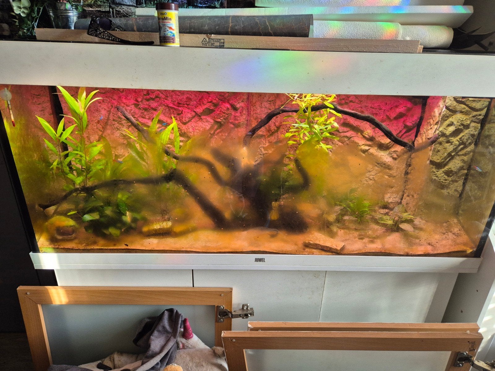 120cm aquarium, Ophalen, Zo goed als nieuw, Gevuld zoetwateraquarium