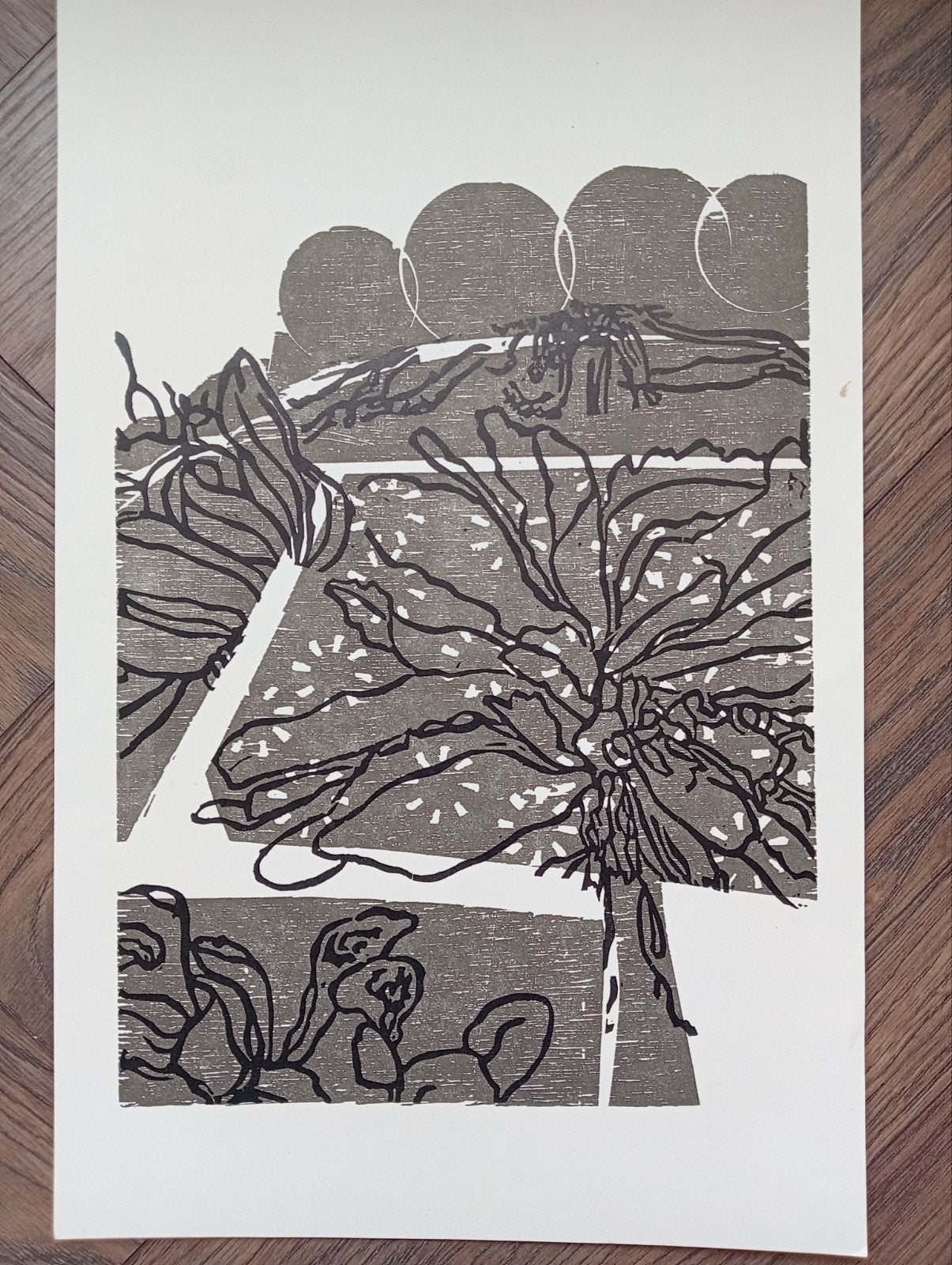 Litho / Zeefdruk, Ophalen of Verzenden