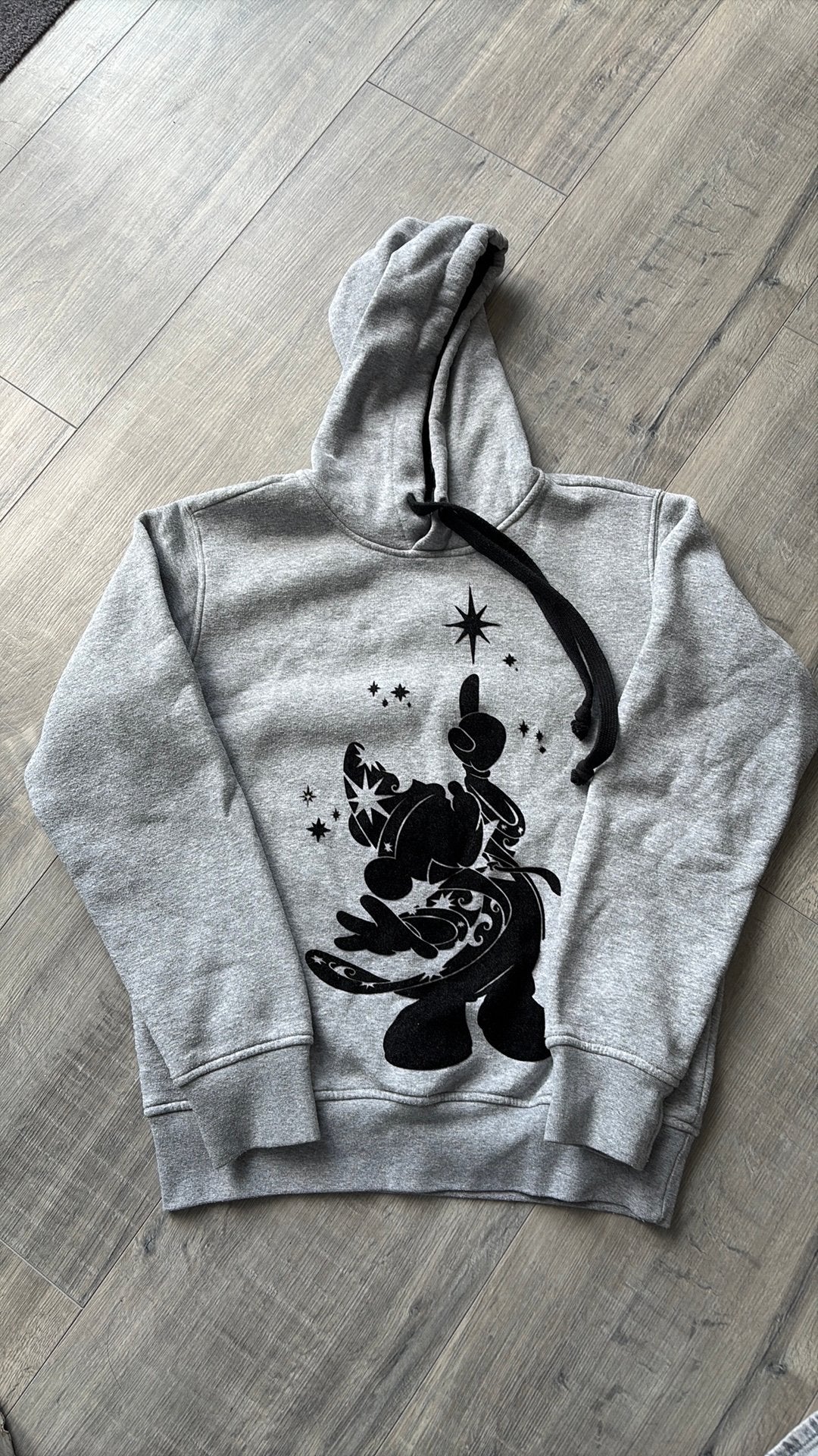 Disneyland hoodie, Ophalen, Zo goed als nieuw, Maat 46 (S) of kleiner, Grijs