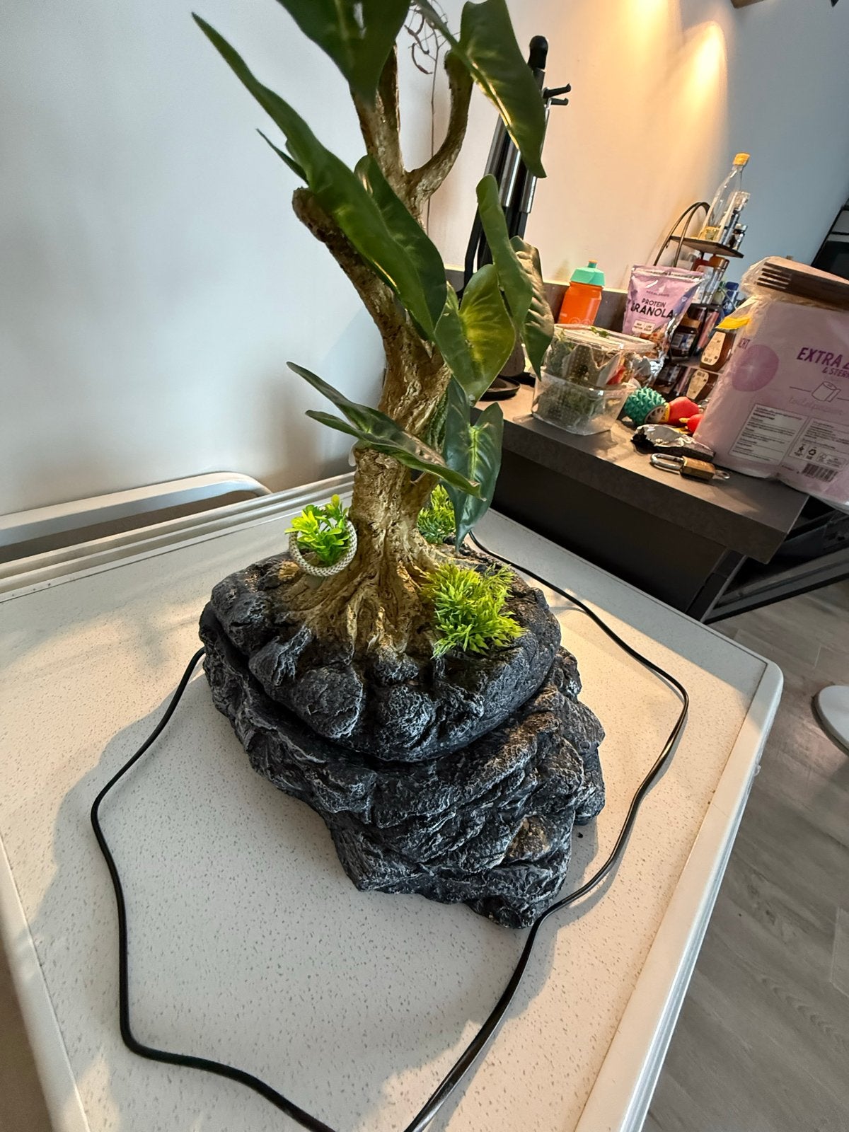 Druppelaar voor reptielen, Ophalen, Zo goed als nieuw, Terrarium of Paludarium