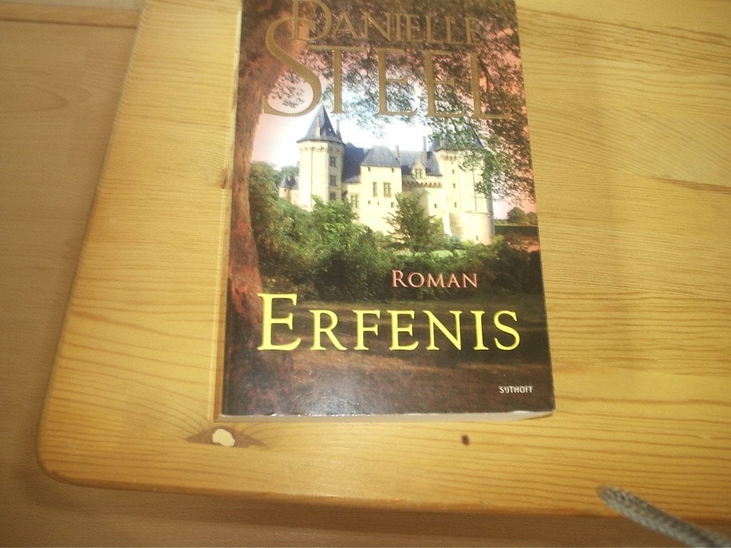 roman van DANIELLE STEEL, Ophalen of Verzenden, Zo goed als nieuw, Danielle Steel, Nederland