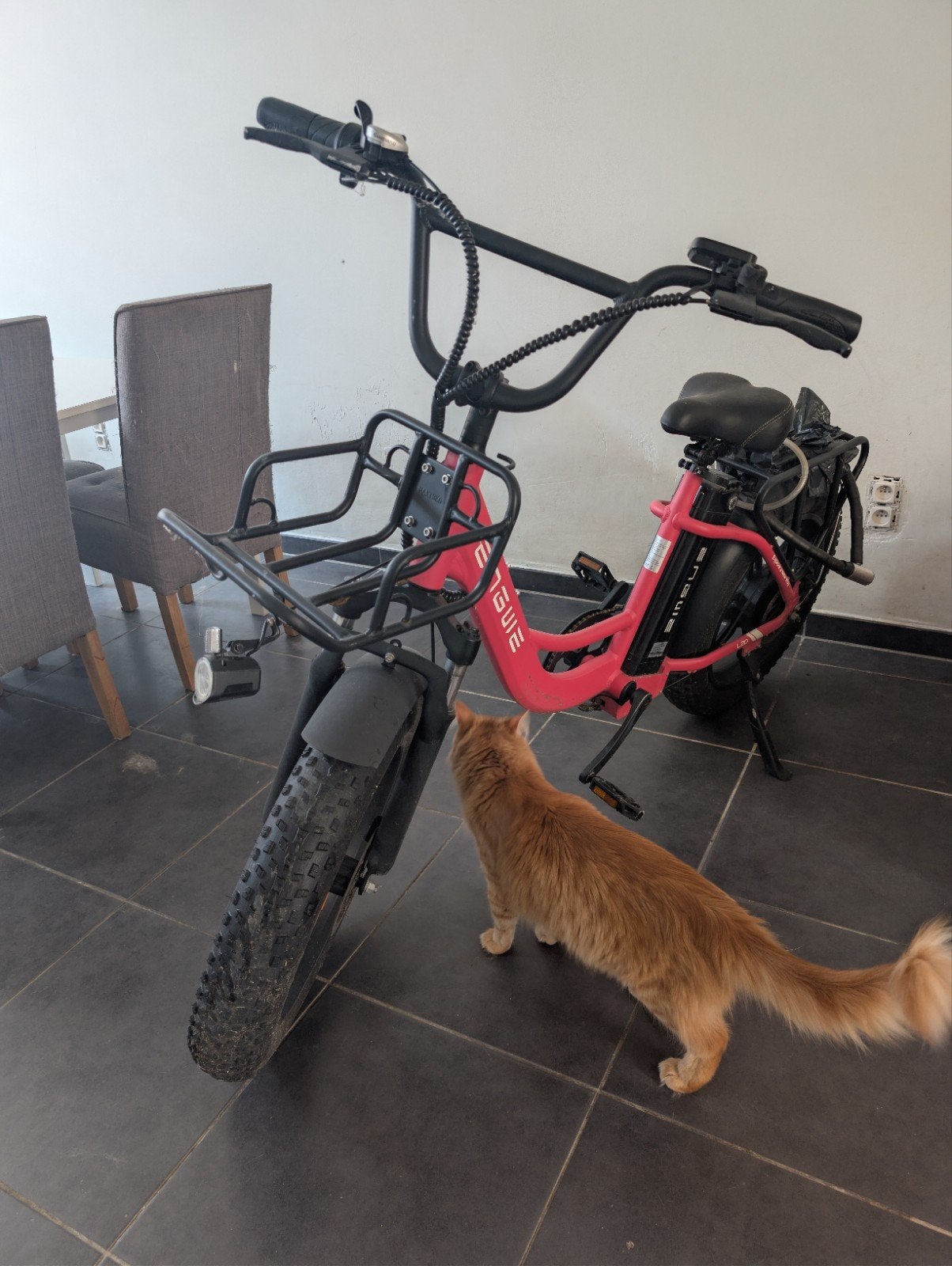 Electric bike, Ophalen, Overige modellen